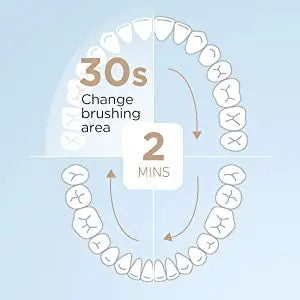 Fairywill Sonic Electric Toothbrush E11 Waterproof USB Charge Rechargeable Electric Toothbrush 8 Brush Replacement Heads Adult