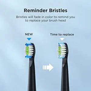 Fairywill Sonic Electric Toothbrush E11 Waterproof USB Charge Rechargeable Electric Toothbrush 8 Brush Replacement Heads Adult