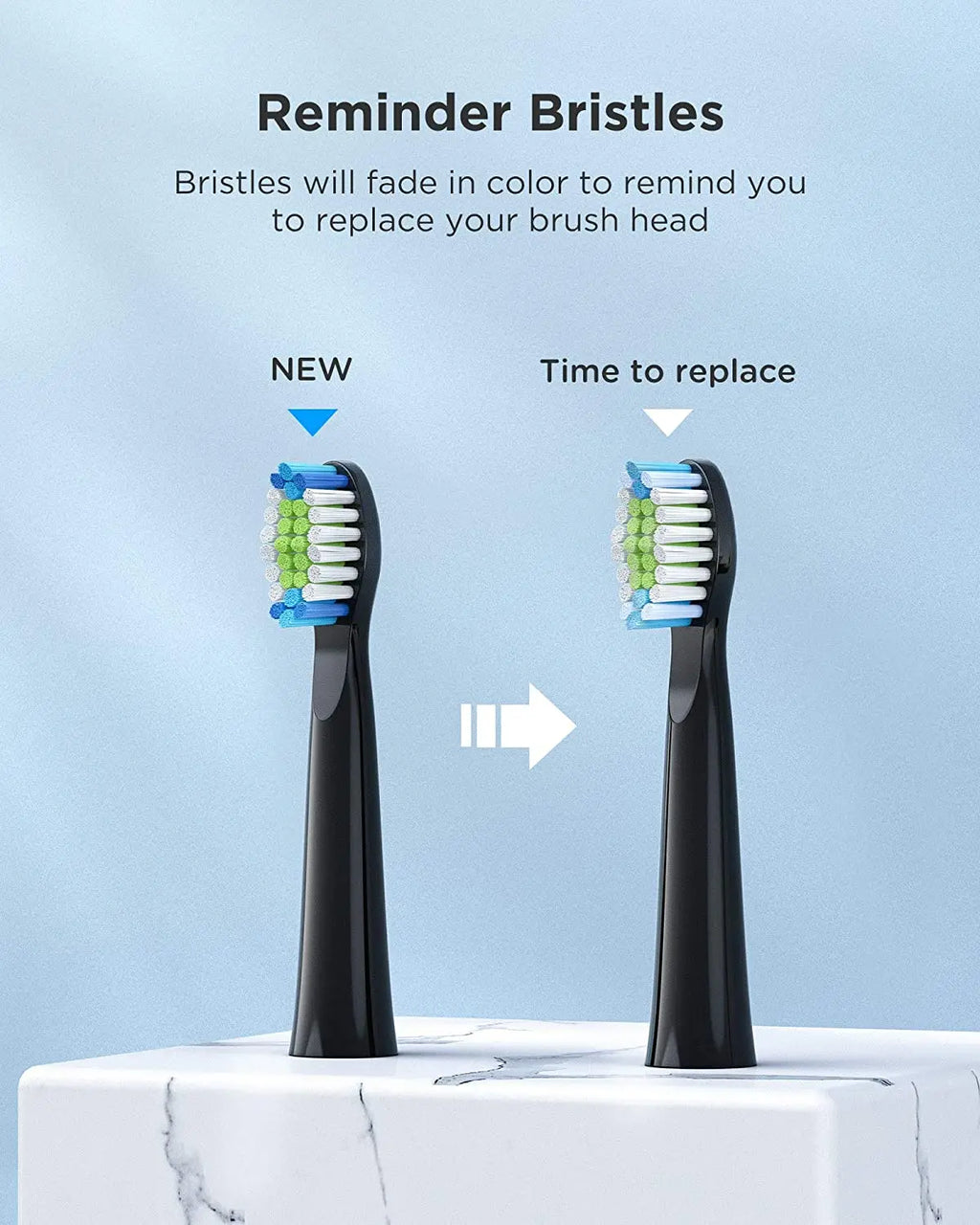 Fairywill Sonic Electric Toothbrush E11 Waterproof USB Charge Rechargeable Electric Toothbrush 8 Brush Replacement Heads Adult