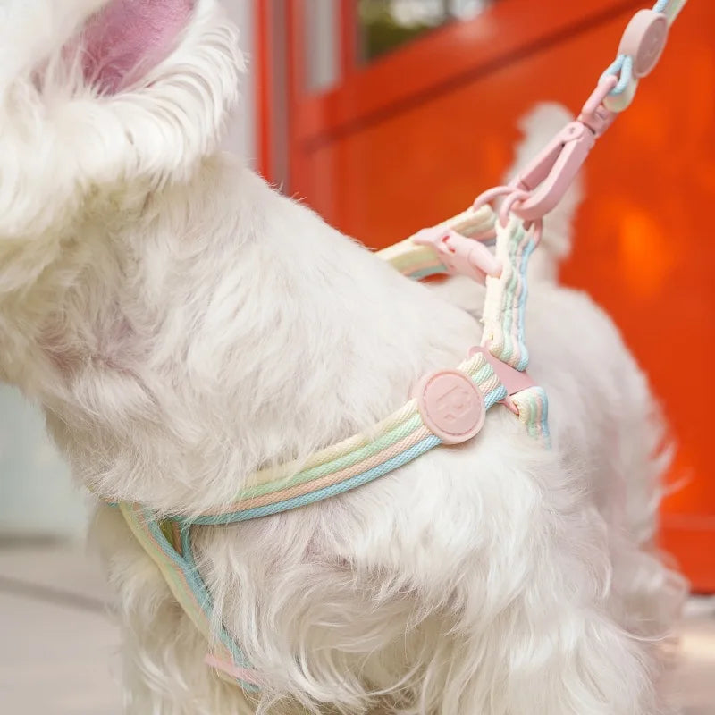 Durable Dog Collar Leash Set Adjustable Pet Collar For Small Medium Dogs Fashionable Dog Collar and Leash Set Pet supplies