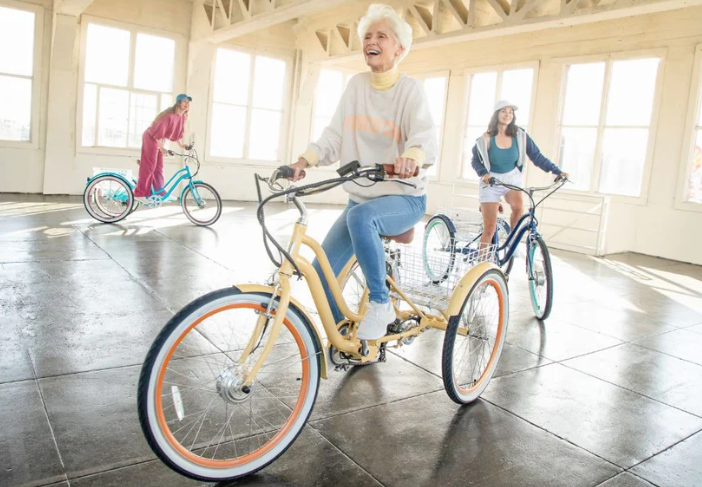 Six Three Zero EVRYJourney 250w Electric Tricycle
