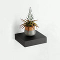Square Floating Shelf Wood Wall Small Shelves for Living Room Decor Display Stand Bedroom Bathroom Decorative Floating Shelf