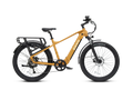 ENVO D50 Electric Bike