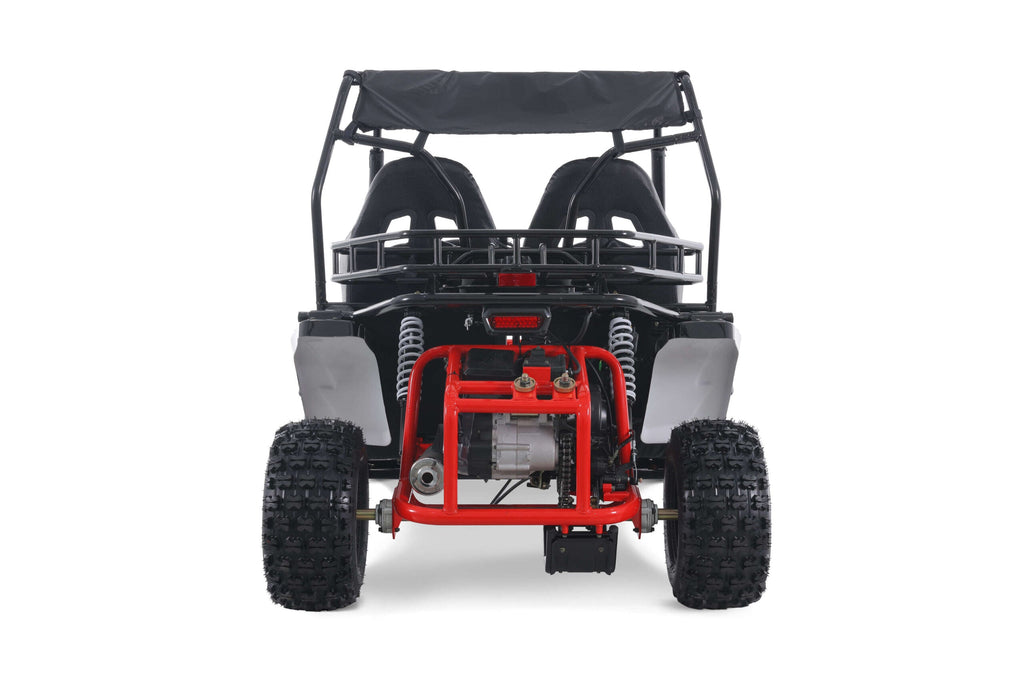 Tao Motor Baja Sport 200 Adult Go-Kart - Large-Sized Go Kart 170cc