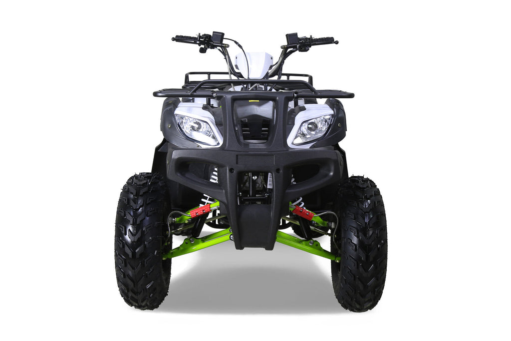 Tao Motor Bull 200S Adult-Sized ATV