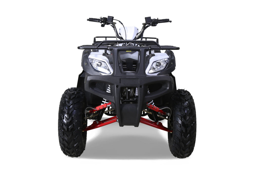 Tao Motor Bull 200S Adult-Sized ATV