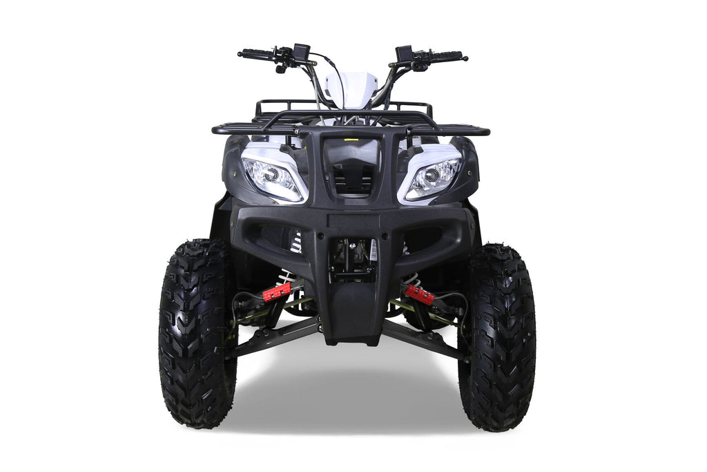 Tao Motor Bull 200S Adult-Sized ATV