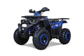 Tao Motor G200 Adult Sized Utility ATV
