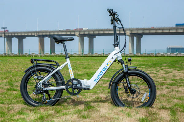 Eunorau META20 1.0 Electric Bike