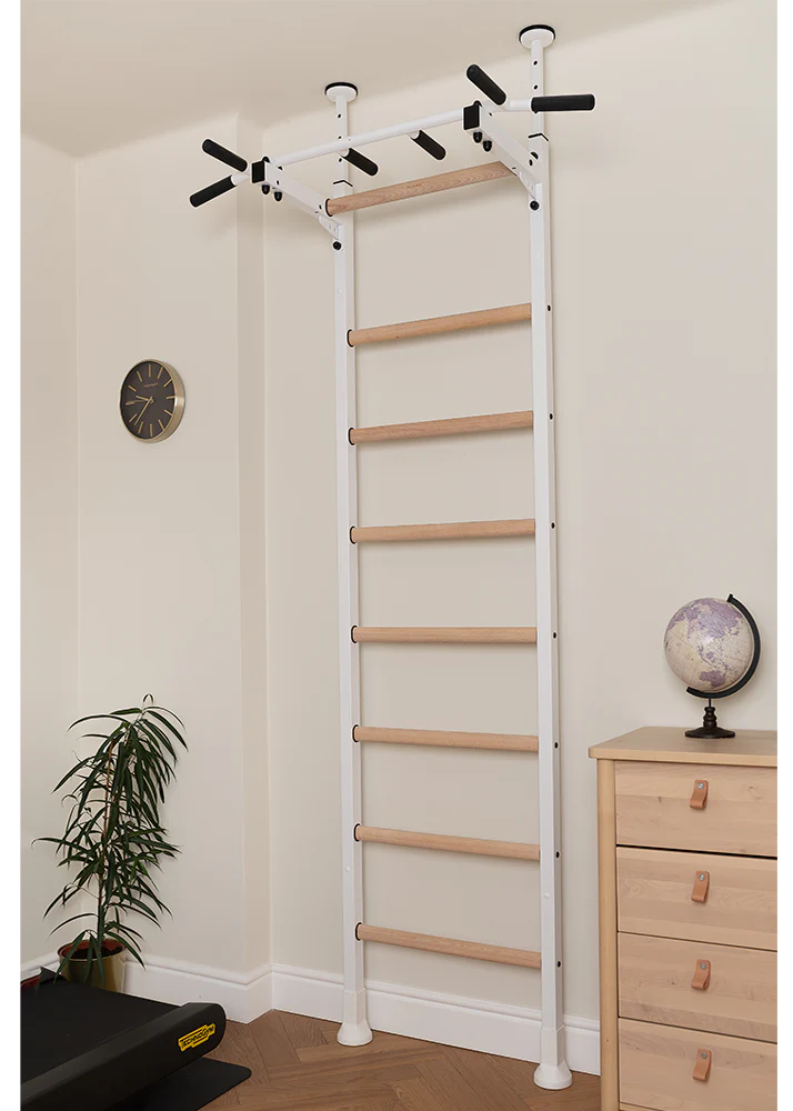 BenchK 521 Gymnastics Wall Bars - Wall Mounted Ladder