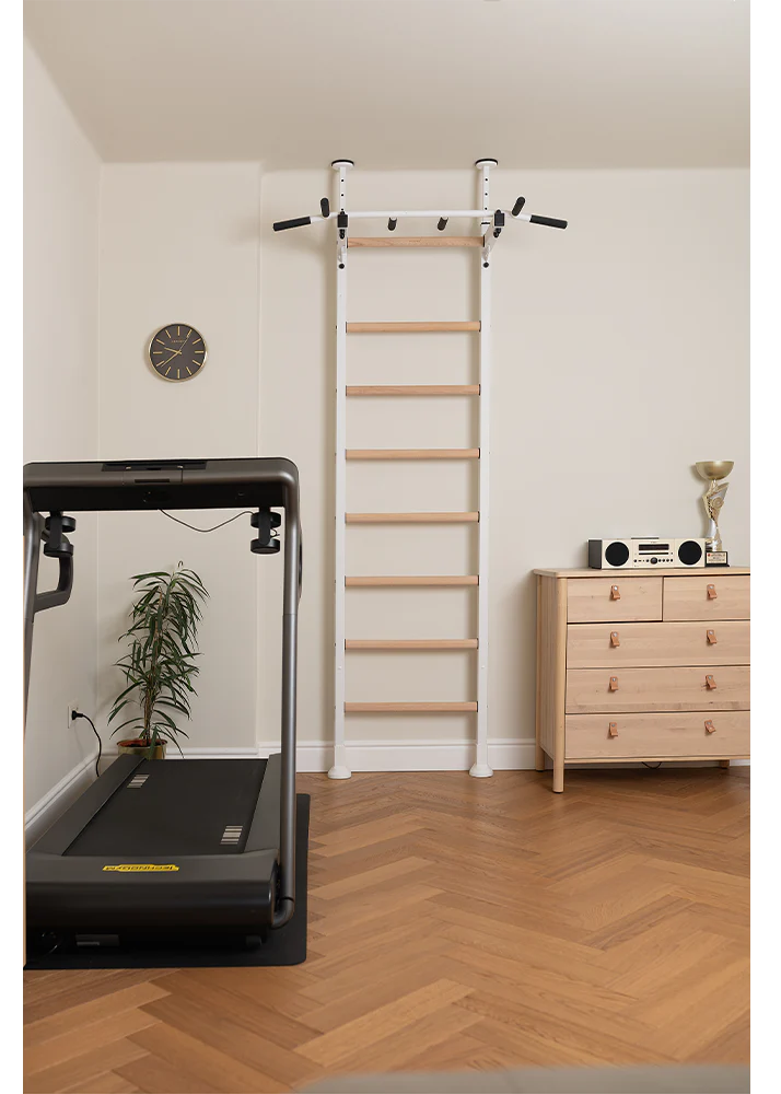 BenchK 521 Gymnastics Wall Bars - Wall Mounted Ladder