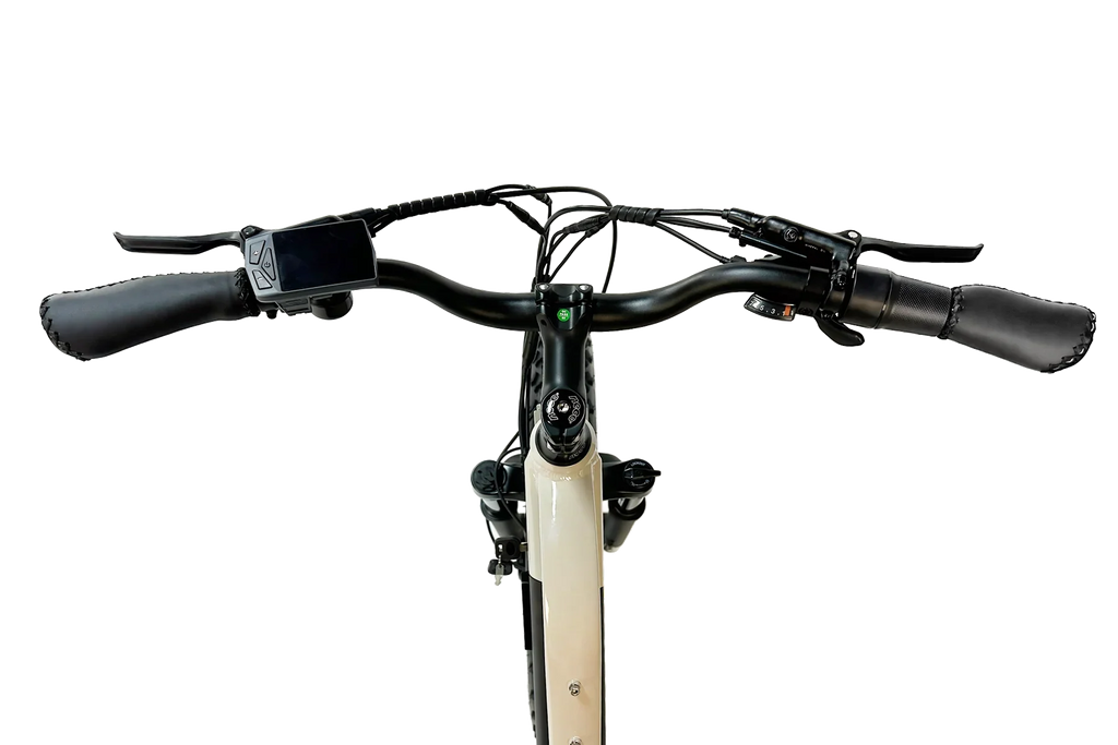 Dirwin Pioneer Lite 750W Hunting Electric Bike