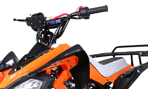 Tao Motor 110 Cheetah Sports ATV - Youth Sports Model 110cc