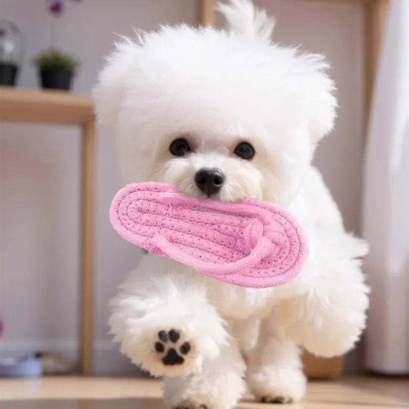 Cotton Slipper Rope Dog Chew Toy for Teeth Cleaning