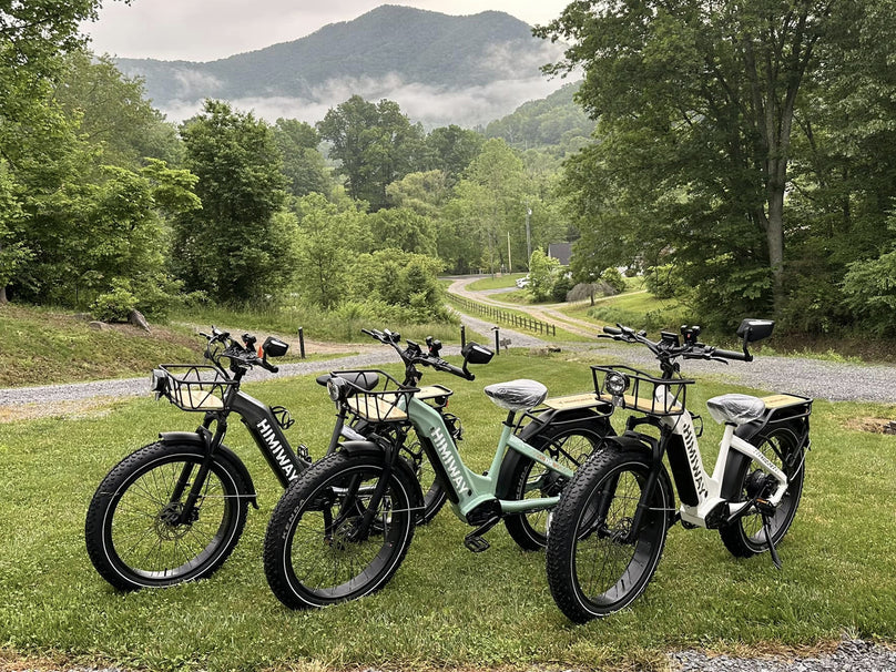 Himiway D5 ST(Zebra ST) / All-terrain Electric Fat Bike *PREORDER*