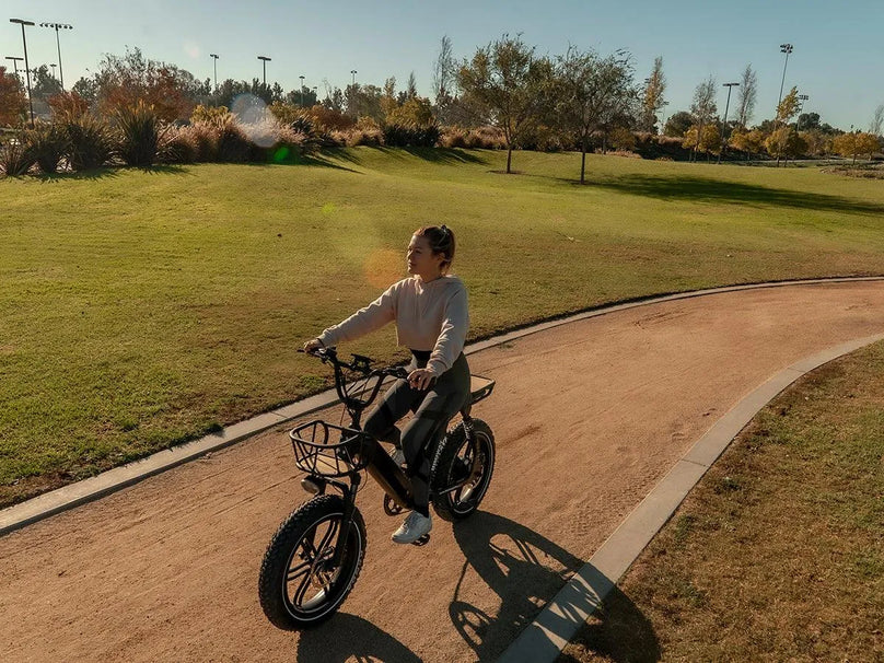 Himiway Escape Pro / Long Range Moped-Style E-Bike ST | Top Speed 20 Mph