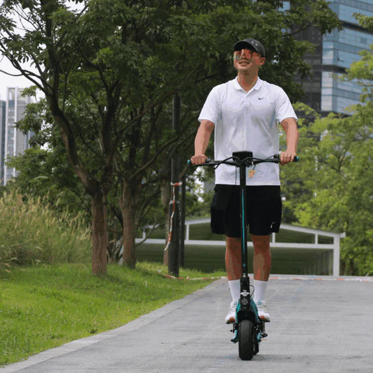 Freego C10 Landrider Foldable Electric Scooter
