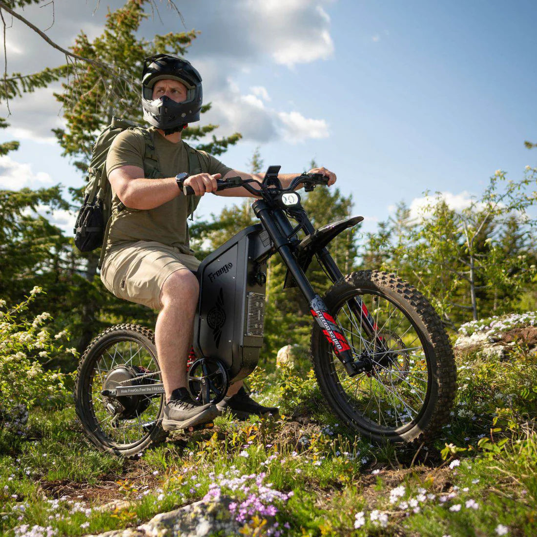 Freego X2 Pro All-Terrain Dirt Electric Bike