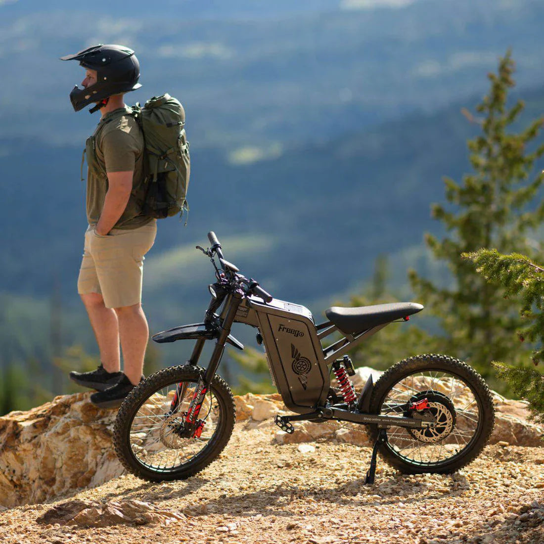 Freego X2 Pro All-Terrain Dirt Electric Bike
