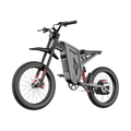 Freego X2 Pro All-Terrain Dirt Electric Bike