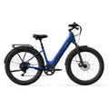 TENWAYS Wayfarer 750W Electric Bike