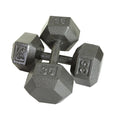 55lb to 100lb Iron Hex Dumbbell Set by Troy Barbell