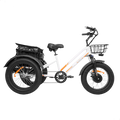 ZEUS 3 Wheel Fat Tire Electric Trike by DW Meigi