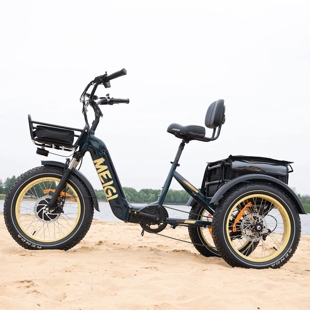 SILVERADO-HD Fat Tire Electric Tricycle by DW Meigi