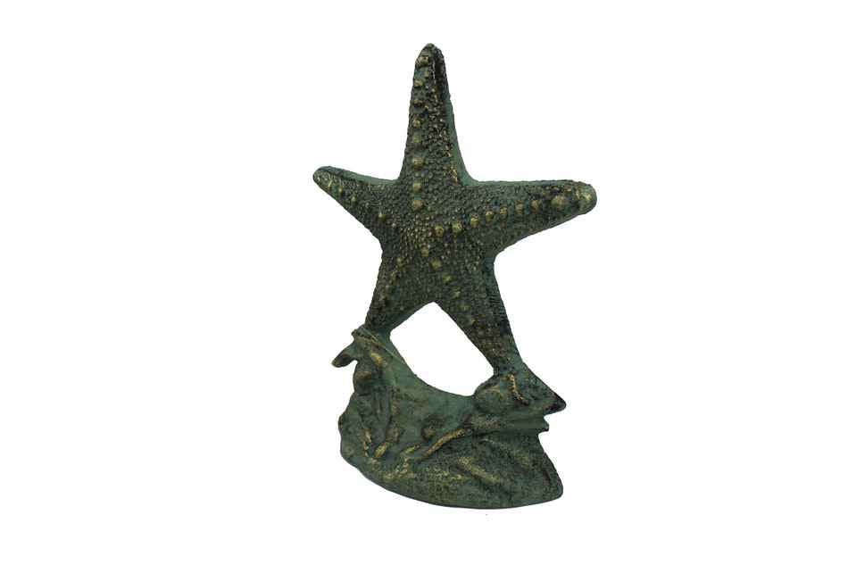 Antique Seaworn Bronze Cast Iron Starfish Door Stopper 11""