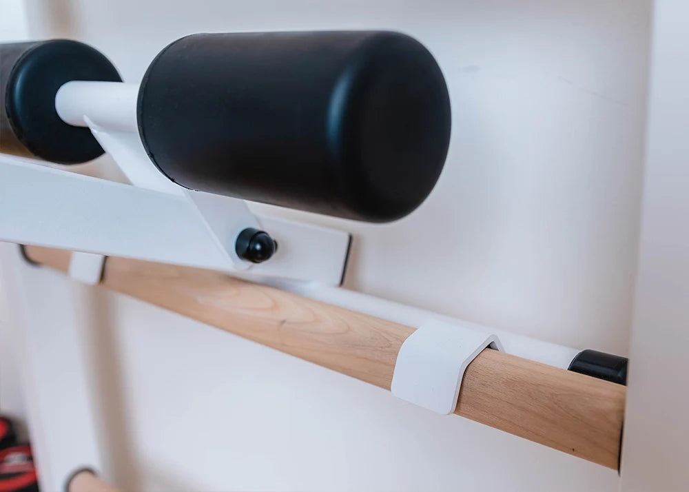 BenchK 733 Luxury Wall Bars for Home Gym and Personal Studio