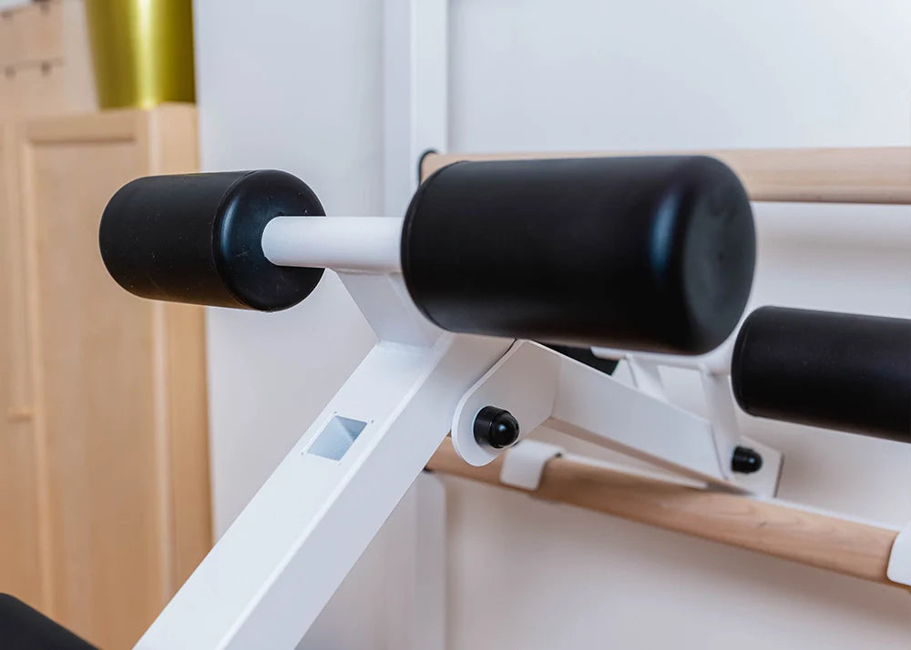 BenchK 733 Luxury Wall Bars for Home Gym and Personal Studio