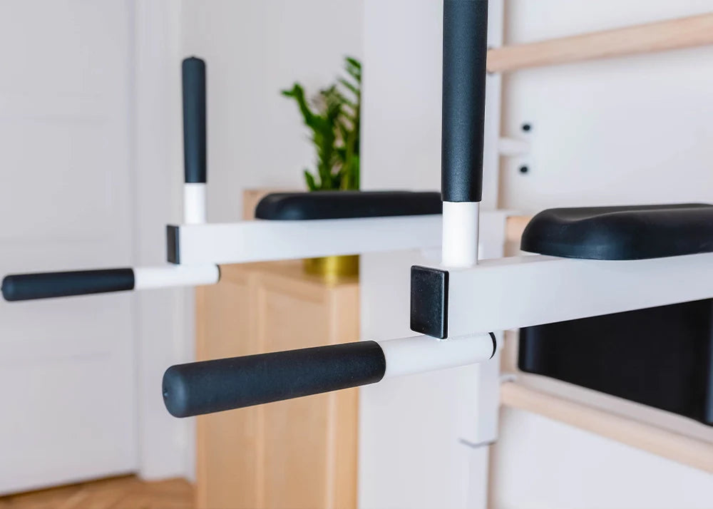 BenchK 733 Luxury Wall Bars for Home Gym and Personal Studio