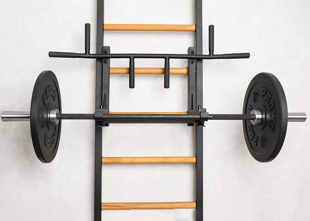 BenchK 733 Luxury Wall Bars for Home Gym and Personal Studio