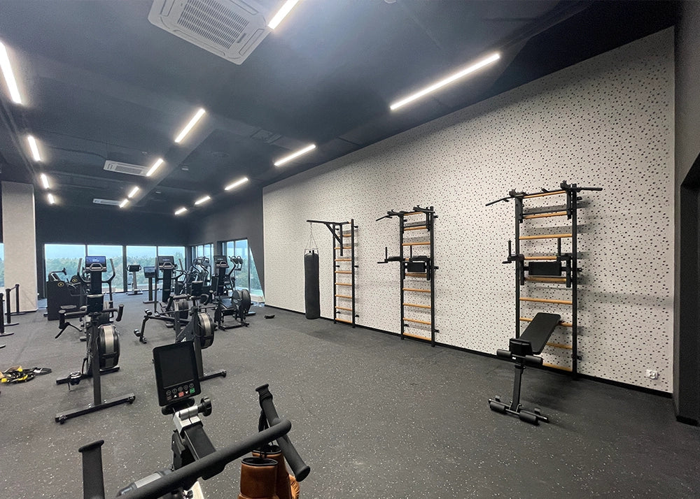 BenchK 733 Luxury Wall Bars for Home Gym and Personal Studio