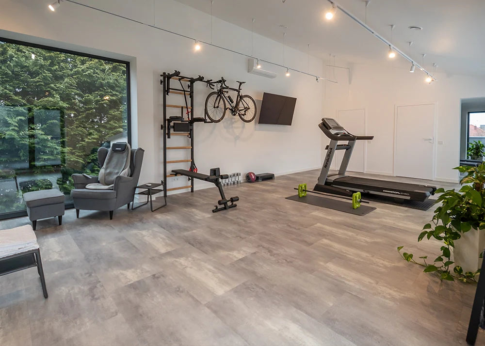 BenchK 733 Luxury Wall Bars for Home Gym and Personal Studio