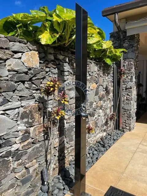 No Worries Showers Toorak Black 316L Marine Grade Stainless Steel Outdoor Pool Shower– Brushed Nickel / Silver Finish Rinse-Off Shower With Hand Shower Wand