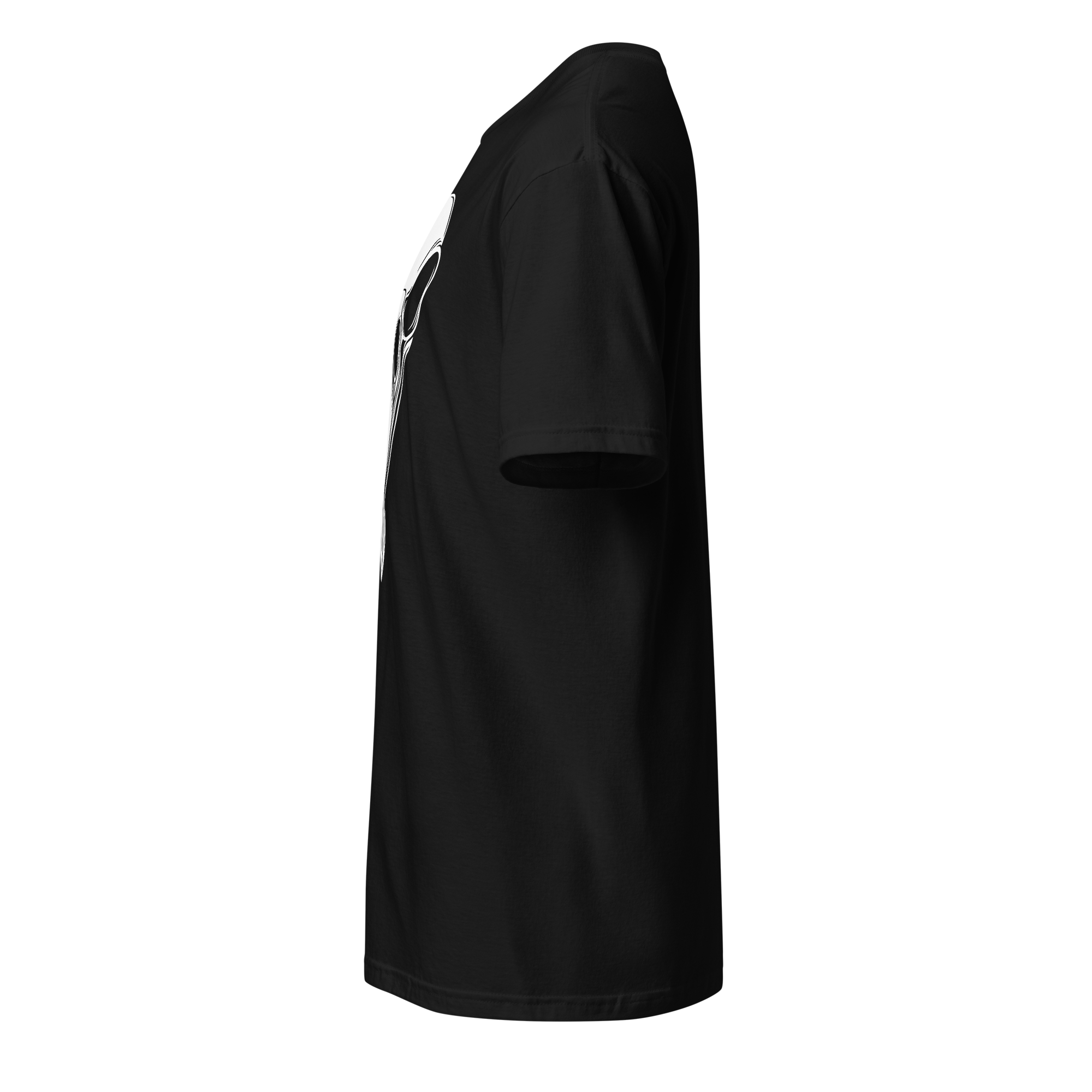 Skull Series - The Carrion Oracle (Raven Skull) Unisex T-Shirt