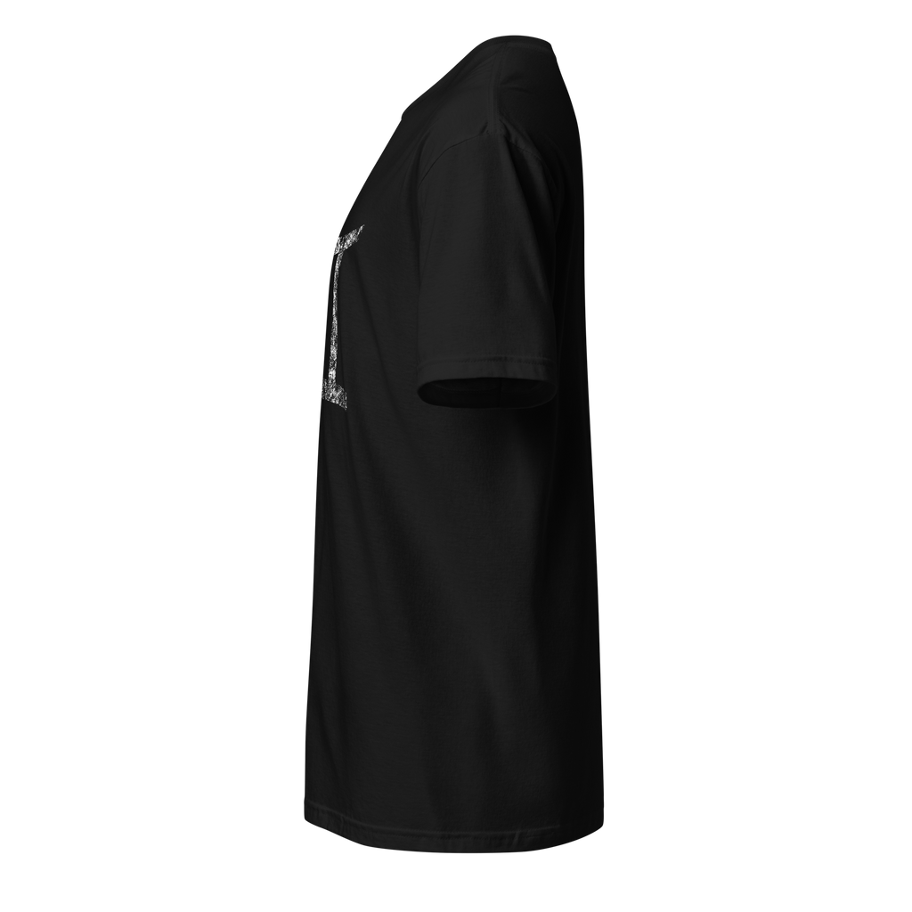 The Zodiac Grunge Series - Gemini Unisex T-Shirt