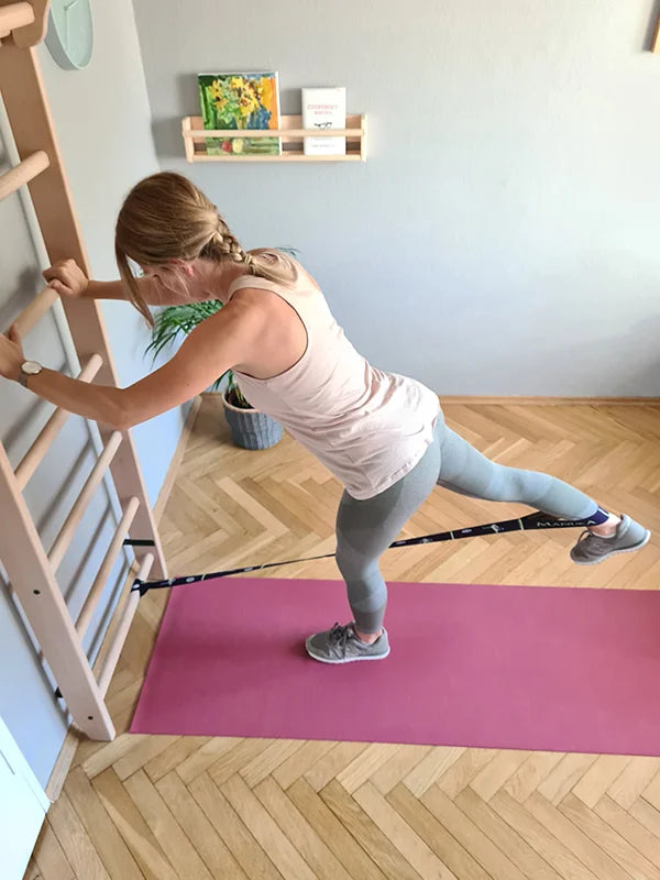 BenchK 111 Gymnastic Swedish Ladder - Wooden Wall Bars